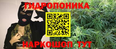 mdpv Будённовск