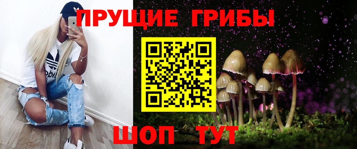 Октябрьский  Галлюциногенные грибы Psilocybine cubensis  Вход с VPN 